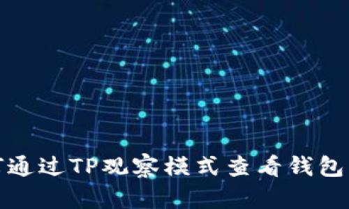 如何通过TP观察模式查看钱包私钥
