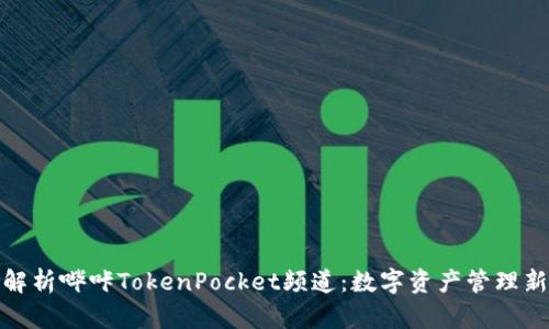 全面解析哔咔TokenPocket频道：数字资产管理新选择