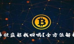 TP钱包里的币被盗能找回吗？全方位解析和应对措