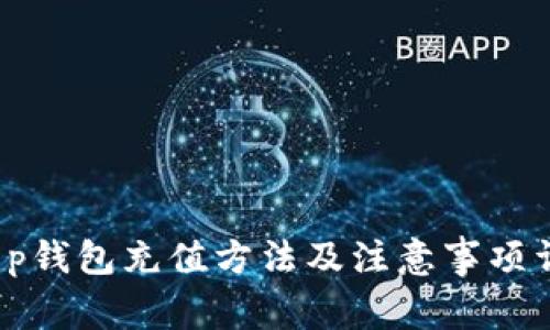  t p钱包充值方法及注意事项详解