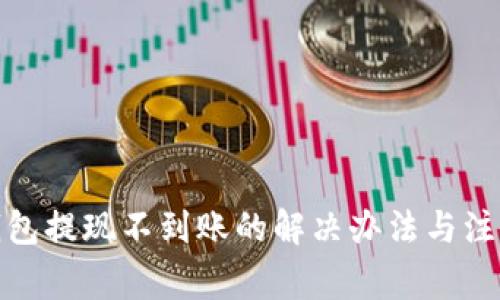 : TP钱包提现不到账的解决办法与注意事项