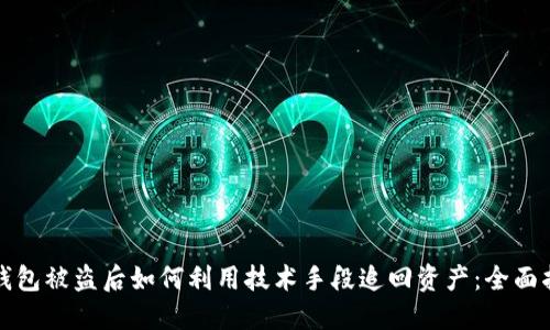 TP钱包被盗后如何利用技术手段追回资产：全面指南