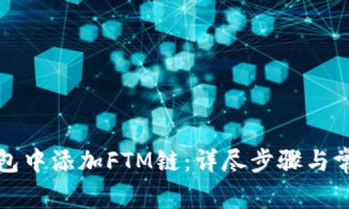 如何在TP钱包中添加FTM链：详尽步骤与常见问题解答