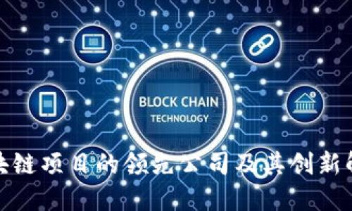 探讨区块链项目的领先公司及其创新解决方案