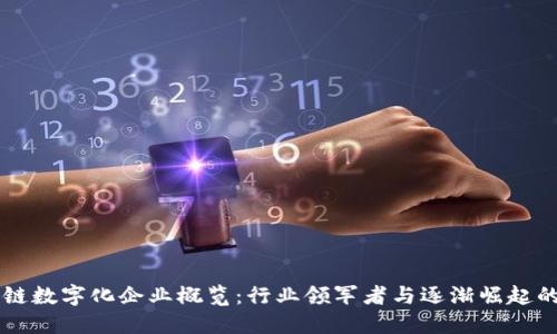 区块链数字化企业概览：行业领军者与逐渐崛起的新秀