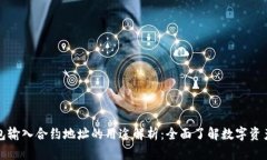 TP钱包输入合约地址的用途解析：全面了解数字资