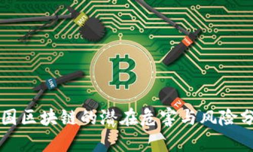 美国区块链的潜在危害与风险分析