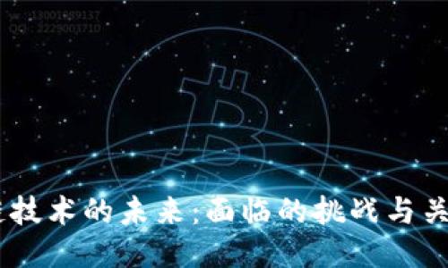 :区块链技术的未来：面临的挑战与关键突破