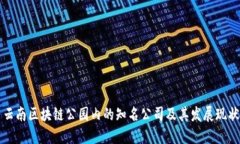 云南区块链公园内的知名公司及其发展现状
