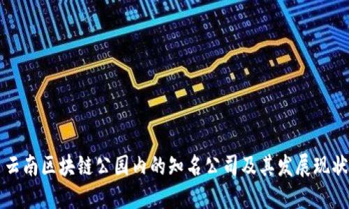 云南区块链公园内的知名公司及其发展现状