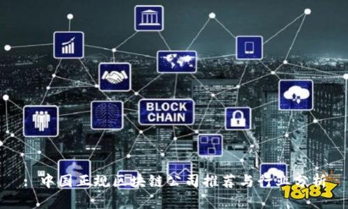 : 中国正规区块链公司推荐与行业分析