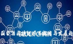 中国合法区块链项目概述与发展趋势