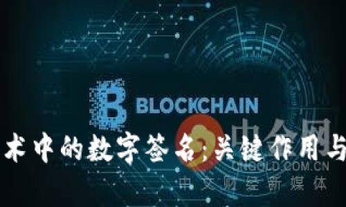 区块链技术中的数字签名：关键作用与应用分析