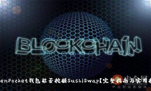 TokenPocket钱包能否挖掘SushiSwap？完整指南与实用技巧