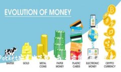 TokenPocket安卓版下载指南：全方位步骤和常见问题