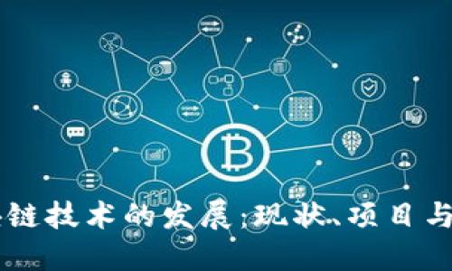 中国区块链技术的发展：现状、项目与未来展望