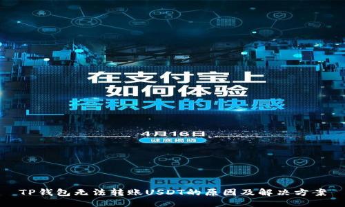 TP钱包无法转账USDT的原因及解决方案