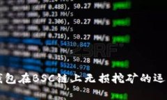 深入解析TP钱包在BSC链上无损挖矿的运作机制与收