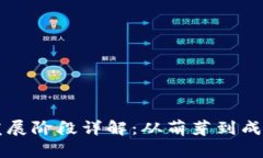 区块链自律发展阶段详解：从萌芽到成熟的全面