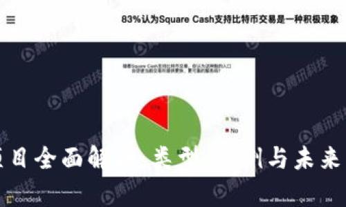 区块链项目全面解析：类型、案例与未来发展趋势