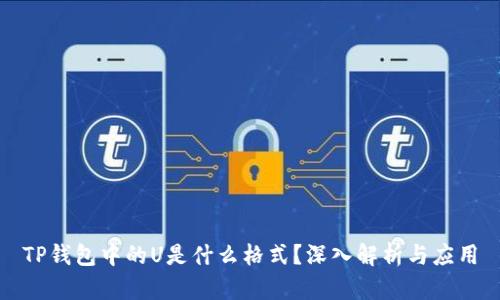 TP钱包中的U是什么格式？深入解析与应用