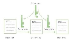 biao tiTP钱包的官网下载App正版：安全、简单、快