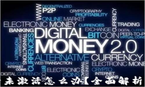 
TP钱包账号未激活怎么办？全面解析与解决方案