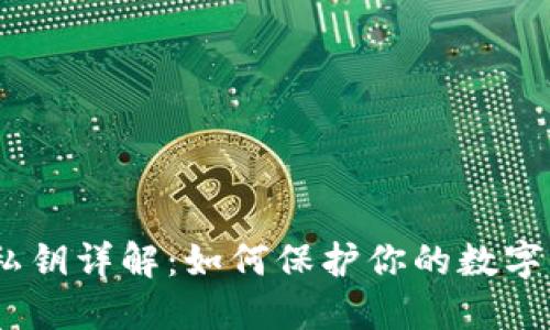 :TP钱包私钥详解：如何保护你的数字资产安全