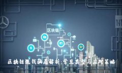 区块链洗钱骗局解析：常见类型与应对策略