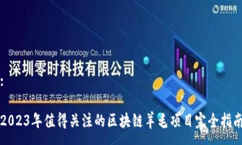 :

2023年值得关注的区块链羊毛项目完全指南