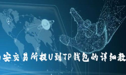 币安交易所提U到TP钱包的详细教程