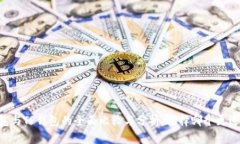 QQ钱包与TP钱包的全面比较与分析：选择哪个更适