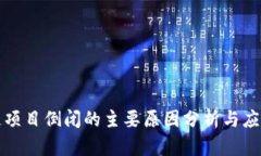 区块链项目倒闭的主要原因分析与应对策略