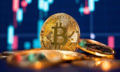 如何快速下载和使用TP钱包安卓客户端的完整指南