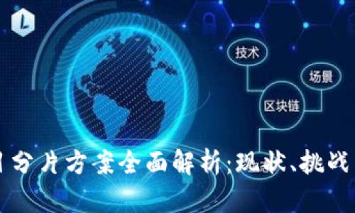 区块链项目分片方案全面解析：现状、挑战与未来发展