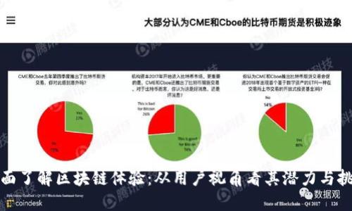 全面了解区块链体验：从用户视角看其潜力与挑战