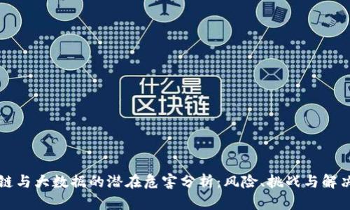 区块链与大数据的潜在危害分析：风险、挑战与解决方案