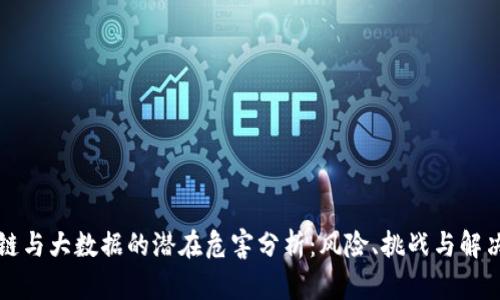 区块链与大数据的潜在危害分析：风险、挑战与解决方案