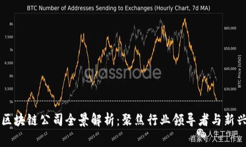柬埔寨区块链公司全景解析：聚焦行业领导者与新兴创新者