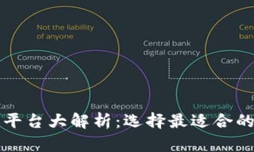热门网页版区块链平台大解析：选择最适合的去中心化解决方案