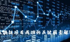 区块链项目成功的关键因素解析