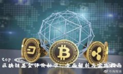 top  区块链基金评价标准: 全面解析与实践指南