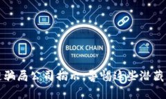 数字区块链骗局公司揭示：警惕这些潜藏风险的