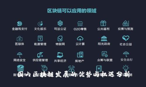 国内区块链发展的优势与机遇分析