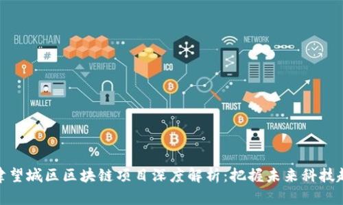 天津望城区区块链项目深度解析：把握未来科技趋势