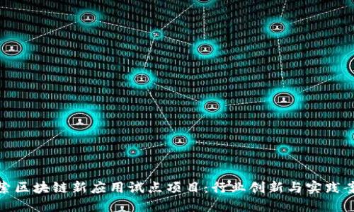 探索区块链新应用试点项目：行业创新与实践案例