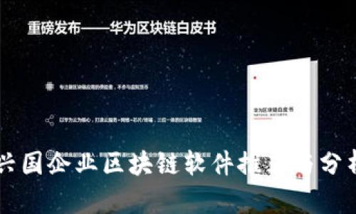 兴国企业区块链软件推荐与分析
