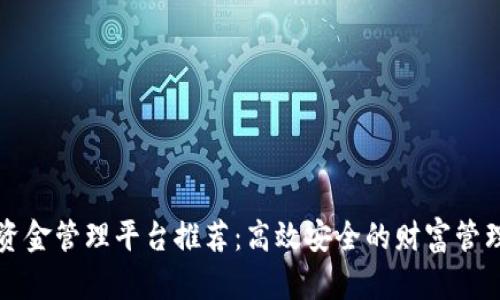 区块链资金管理平台推荐：高效安全的财富管理新选择