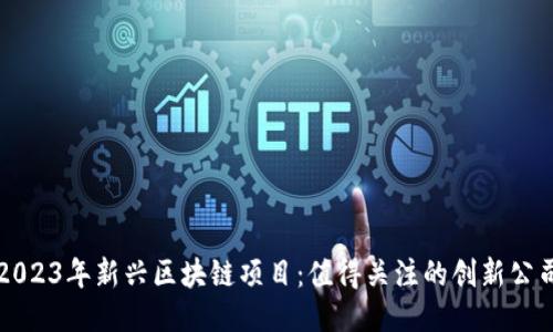2023年新兴区块链项目：值得关注的创新公司