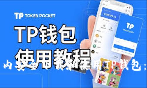 如何在国内安全下载和使用TP钱包：全面指南